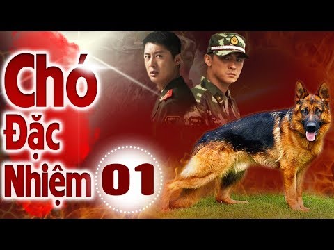 cho-dac-nhiem-phim-bo-hinh-su-trung-quoc-hay-nhat-thuyet-minh