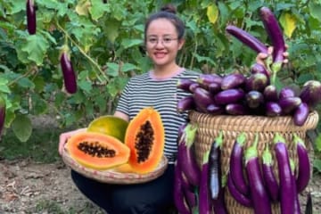 FULL VDEO 60 Days of harvesting red dragon fruit, bananas & papaya to sell at the market