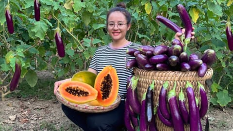 FULL VDEO 60 Days of harvesting red dragon fruit, bananas & papaya to sell at the market