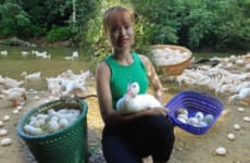 Harvest Duck Eggs Goes to the village sell - Cooking - Live with nature