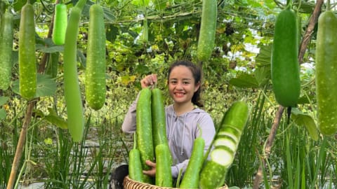 Harvest sticky gourds and corn to sell at the market. build a new chicken coop