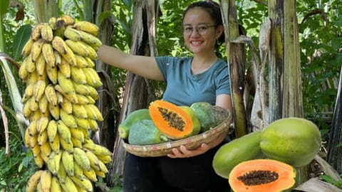 Harvesting papaya and banana to sell at the market, process of making dried cassava