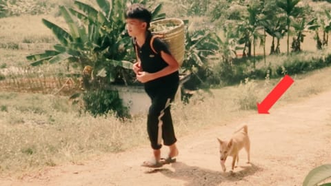 Orphan Boy -Difficult life, Play Football, feed the pigs and cook lunch