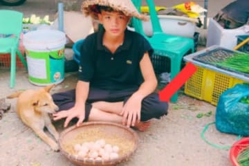 Orphan boy - Harvesting chicken eggs to sell at the market, Good people give him clothes