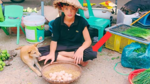 Orphan boy - Harvesting chicken eggs to sell at the market, Good people give him clothes