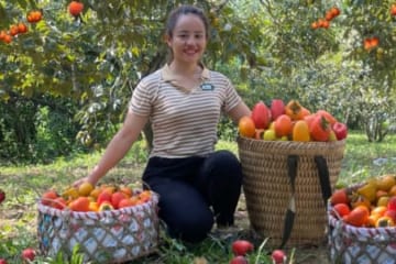 VIDEO FULL: 60 Days going to the market to sell persimmons, luffa and sticky gourds