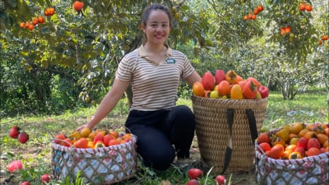 VIDEO FULL: 60 Days going to the market to sell persimmons, luffa and sticky gourds