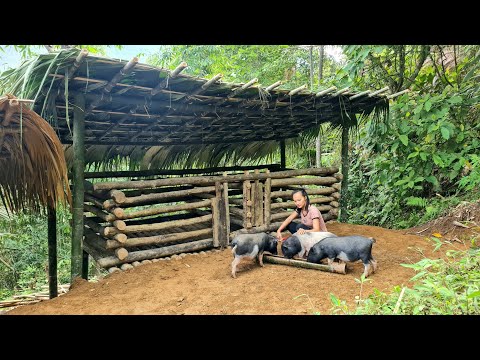 BUILD LOG CABIN in the STORM, Building Completed Wooden House For Pigs, Bushcraft Hut & Survival