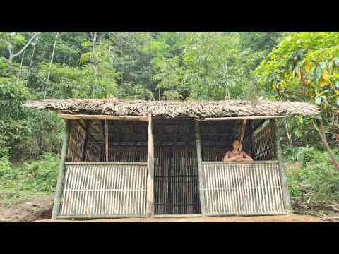 Building a Bamboo House - Bushcraft earth hut & Survival Shelter