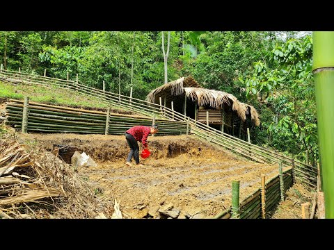 Building a Farm in The Foresst, How to Grow Peanut On a Farm