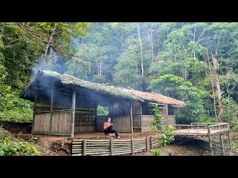 Building a Kitchen House, Bamboo house 2022, Bushcraft shelter, survival