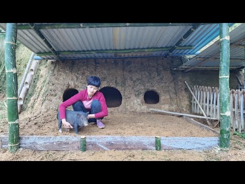 Digging land to make shelter in preparation for raising more livestock