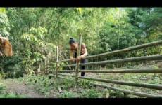 Expand The Garden, Build a Bamboo Fence Around The Residence - Survival skills