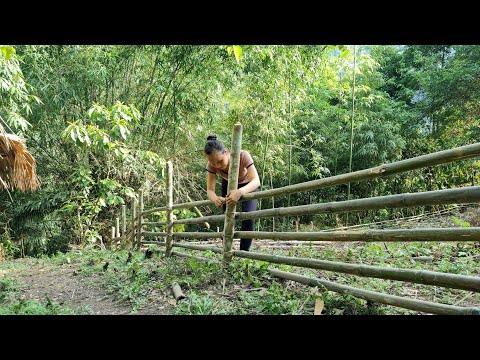 Expand The Garden, Build a Bamboo Fence Around The Residence - Survival skills