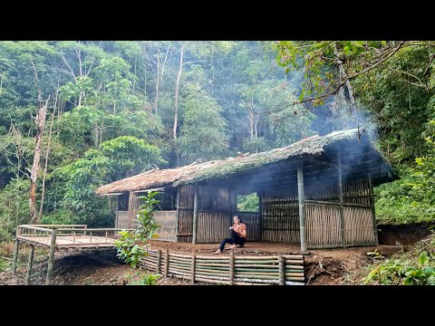 FULL VIDEO, 100 Days Building a Bamboo house, Kitchen House, Build Deck, Outdoor Bathroom