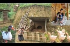Full video Coc lives in a bamboo house in the forest and builds a farm