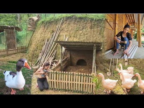 Full video Coc lives in a bamboo house in the forest and builds a farm