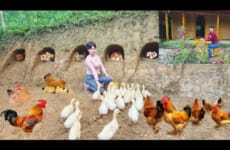 Full video farm building life and work of the girl in the forest
