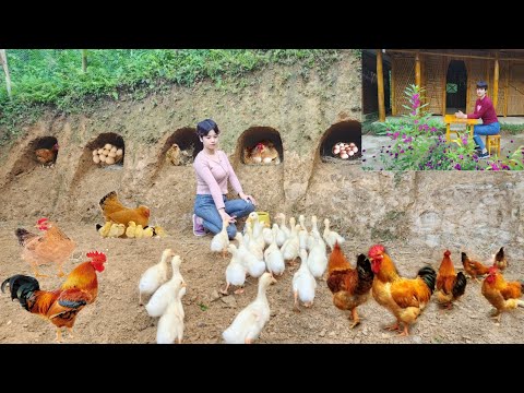 Full video farm building life and work of the girl in the forest