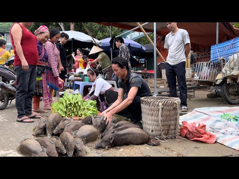 Go To The Market And Sell All The Pigs In A Few Minutes, Vàng Hoa