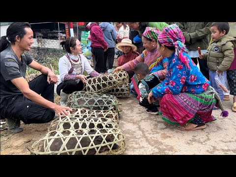 Go To The Market And Sell All The Wild Boars In A Few Minutes, Cook , Vàng Hoa