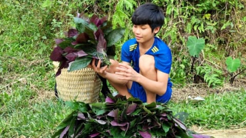 Go find wild vegetables to sell and cook-OrphanedBoyVn