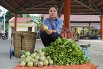Harvest Mustard vegetables, kohlrabi bring to the market to sell | Free Life.