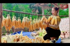 Harvesting corn and how to preserve it all year round - farm life. Trieu Lily