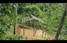 How To Build a Bamboo House, build new life, forest life