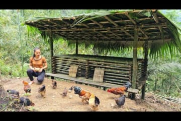 How to make a Bamboo House for Chickens - bushcraft & survival, asmr, diy house