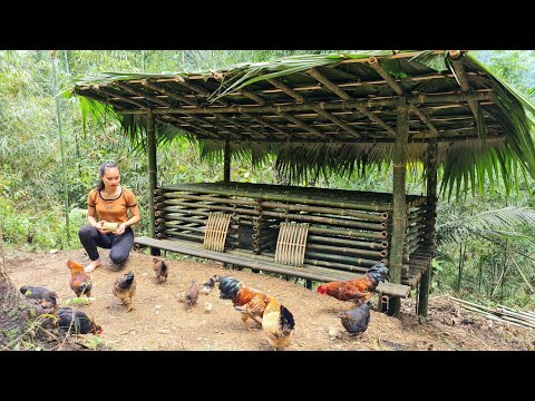 How to make a Bamboo House for Chickens - bushcraft & survival, asmr, diy house