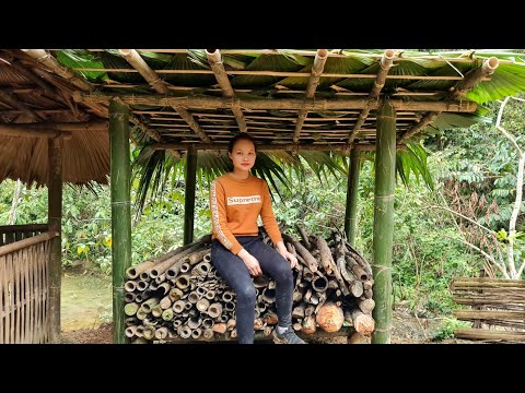 How to make a bamboo shed, Building forest life