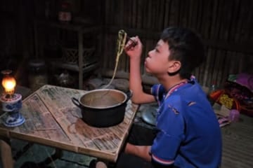 Orphan Boy - Lives in a hut, Buys chickens to raise, Duck Farm, Picks vegetables to cook