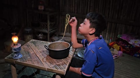 Orphan Boy - Lives in a hut, Buys chickens to raise, Duck Farm, Picks vegetables to cook