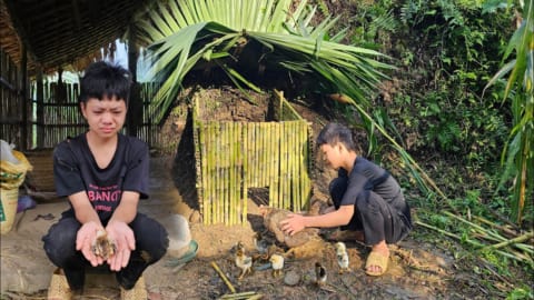 Orphan Boy - Raising chickens, Building a chicken coop so the chicks don't die, Building a farm