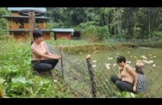 Pond fences prevent ducks from growing vegetables around bamboo houses in the forest