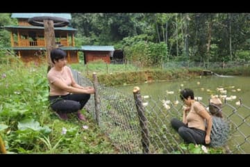 Pond fences prevent ducks from growing vegetables around bamboo houses in the forest