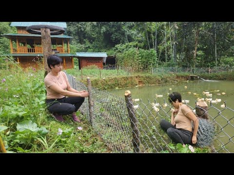 Pond fences prevent ducks from growing vegetables around bamboo houses in the forest