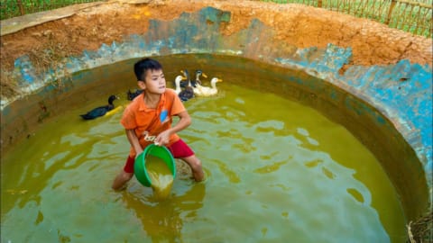 Poor boy. Dredging, cleaning duck tanks, dinner with new friends