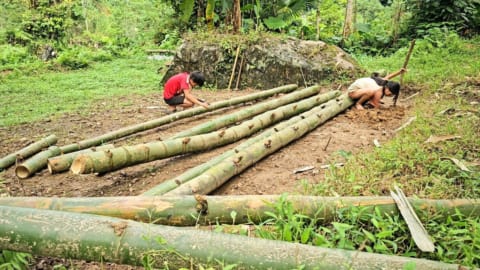 The homeless boy and the poor girl bought bamboo to build a new house and ate baked potatoes