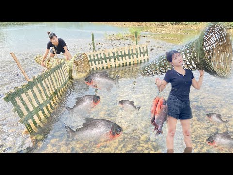 Best skill catching fish. How to make fish trap by bamboo