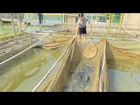 FULL VIDEO, Girl's Survival Skills, Technique To Catch Alot Of Fish, Aqua