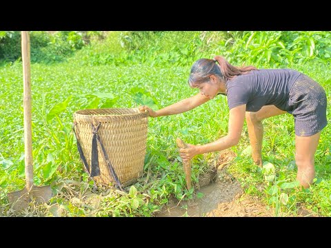 FULL VIDEO, Survival Skills. How To Throw Cast Net, Catch Many Fish In The River and The Fields