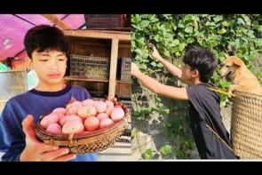 Full Video: 35 Days of an Orphan Boy Building a Dream House - Harvesting Eggs, Fruits and Gardening