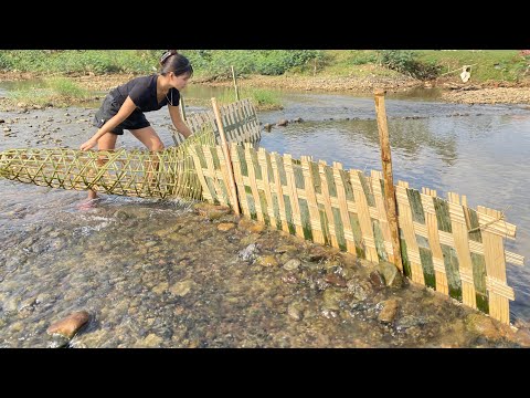 Full Video : How To Make Traditional Fishing Trap From Bamboo