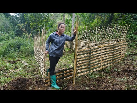 Harvest bamboo trees and build fences to plant vegetable gardens - Building farm in the forest