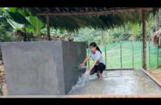 Harvesting zucchini goes to market sell, Build a complete water tank - Phùng Thị Chài