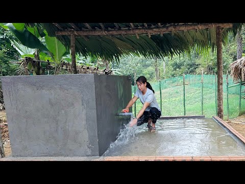 Harvesting zucchini goes to market sell, Build a complete water tank - Phùng Thị Chài
