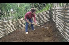 Hoe and grow vegetables in the garden with bamboo fence – Green forest farm