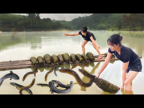 How To Make 10 Traditional Fish Trap By Bamboo, Survival Skills, Aqua, bamboo